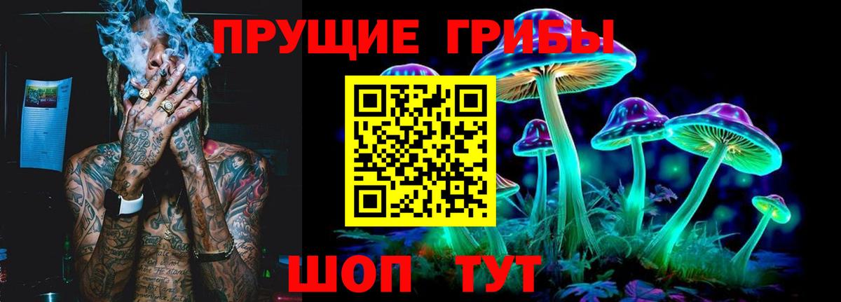 Казань  Псилоцибиновые грибы мицелий  Псилоцибиновые грибы GOLDEN TEACHER  Вход с VPN 